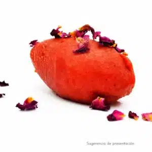 helado elaborado con neutro sorbete complemento como ingrediente