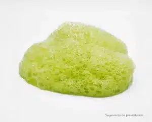 Lecitina de Soja