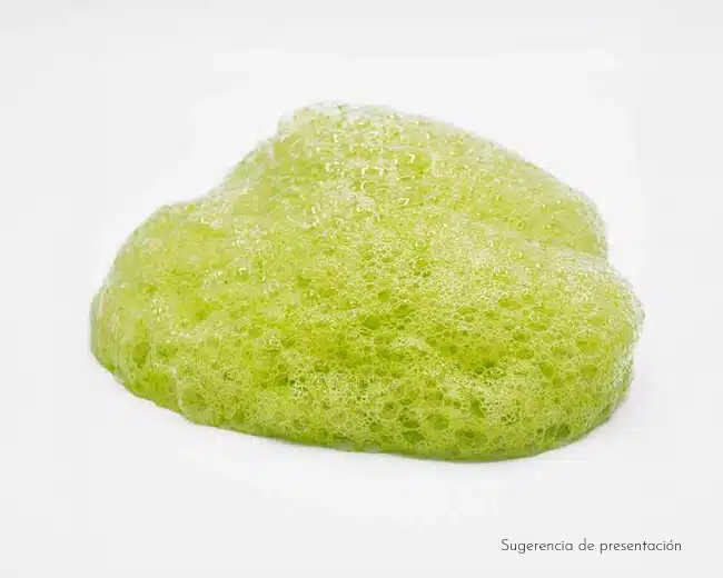 Lecitina de Soja
