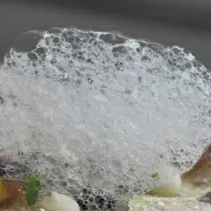 un aire utilizando sucroester como ingrediente