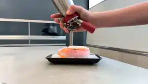 un plato de cocina molecular finalizado con una espuma de sifón