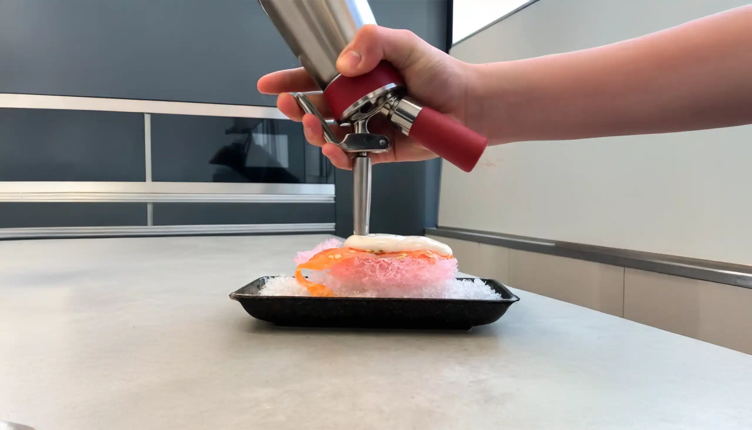 un plato de cocina molecular finalizado con una espuma de sifón
